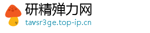 研精殚力网